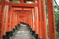 Senbon Torii Ã¢â¬ÅThousand ToriiÃ¢â¬Â gateways in Fushimi Inari Taisha Temple in Kyoto Japan Royalty Free Stock Photo